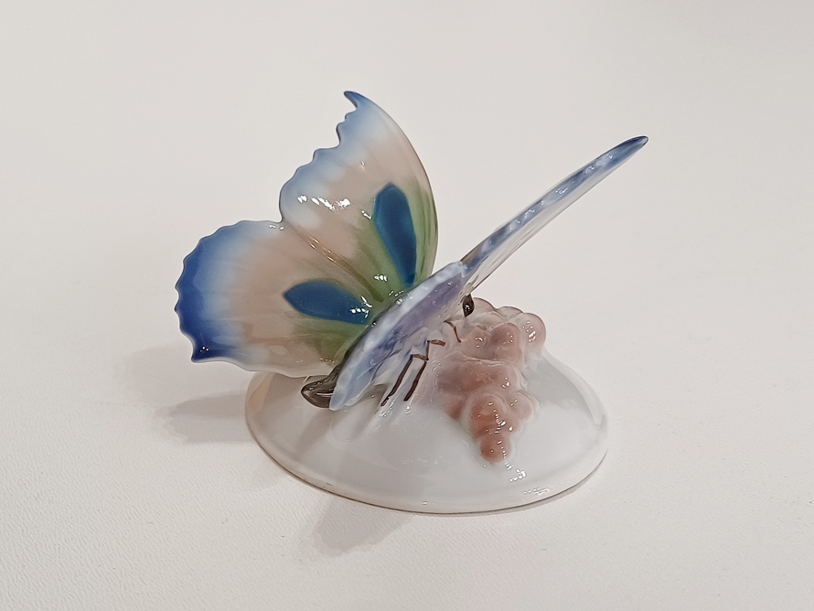 motýl Rosenthal Nr.94, O. Koch